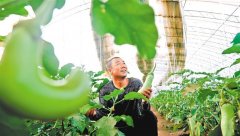 <strong>四平市积极落实省委、省要</strong> 